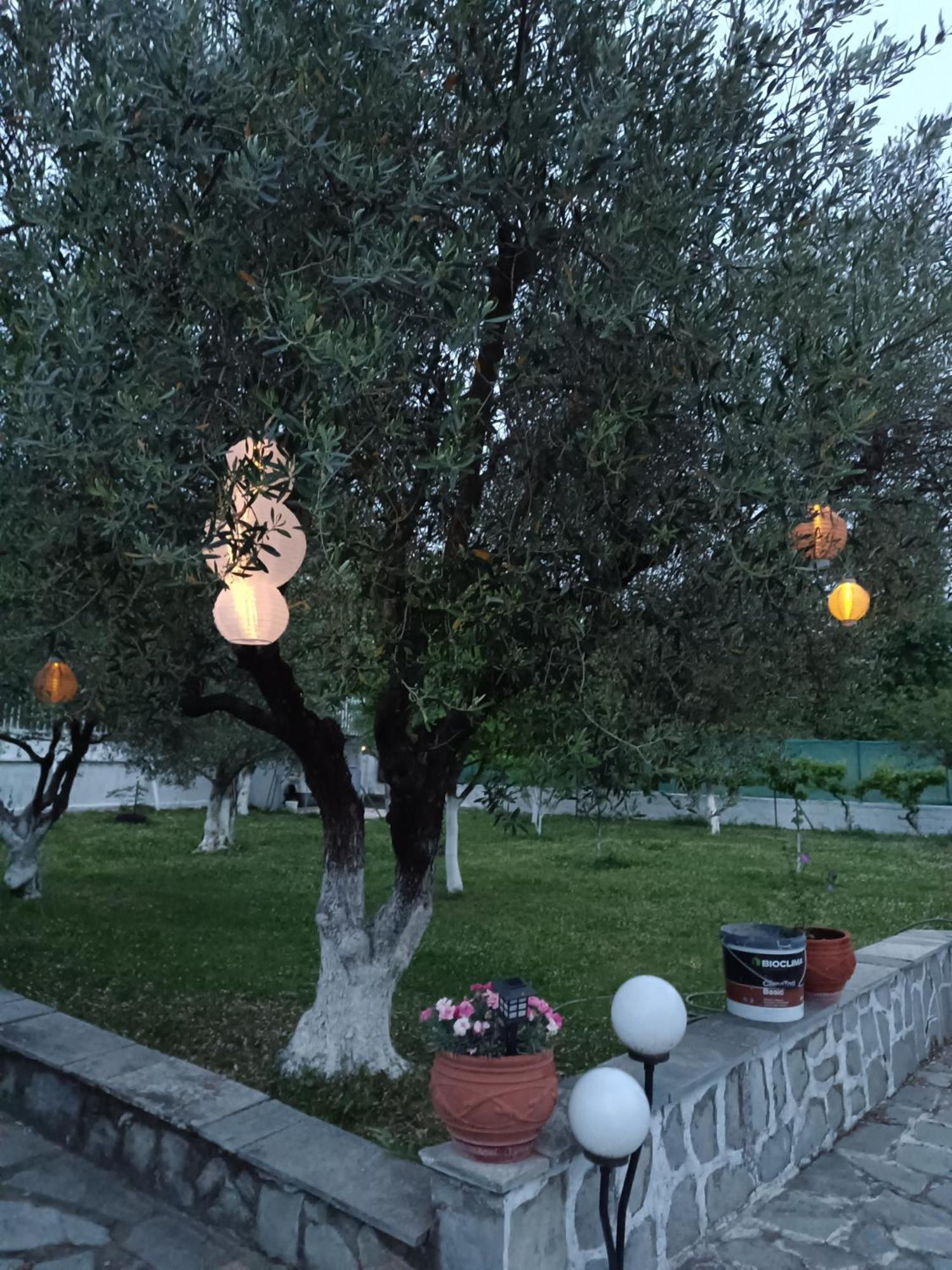 Pomegranate Tree House - Meteora Guest House Kalampáka Luaran gambar