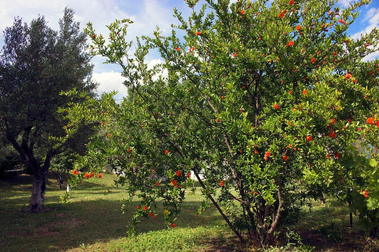 Pomegranate Tree House - Meteora Guest House Kalampáka Luaran gambar