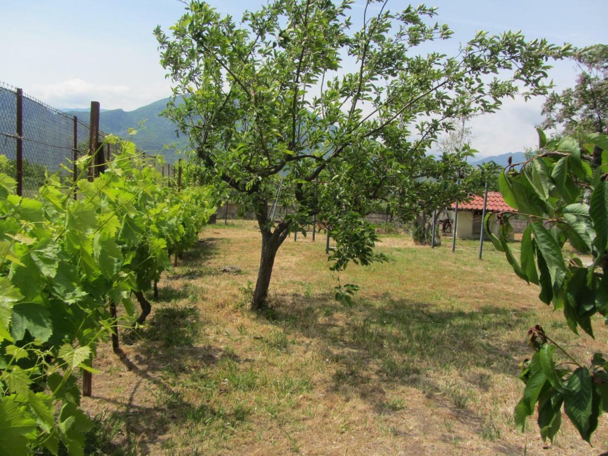 Pomegranate Tree House - Meteora Guest House Kalampáka Luaran gambar